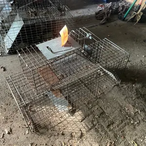 (2) Live Traps