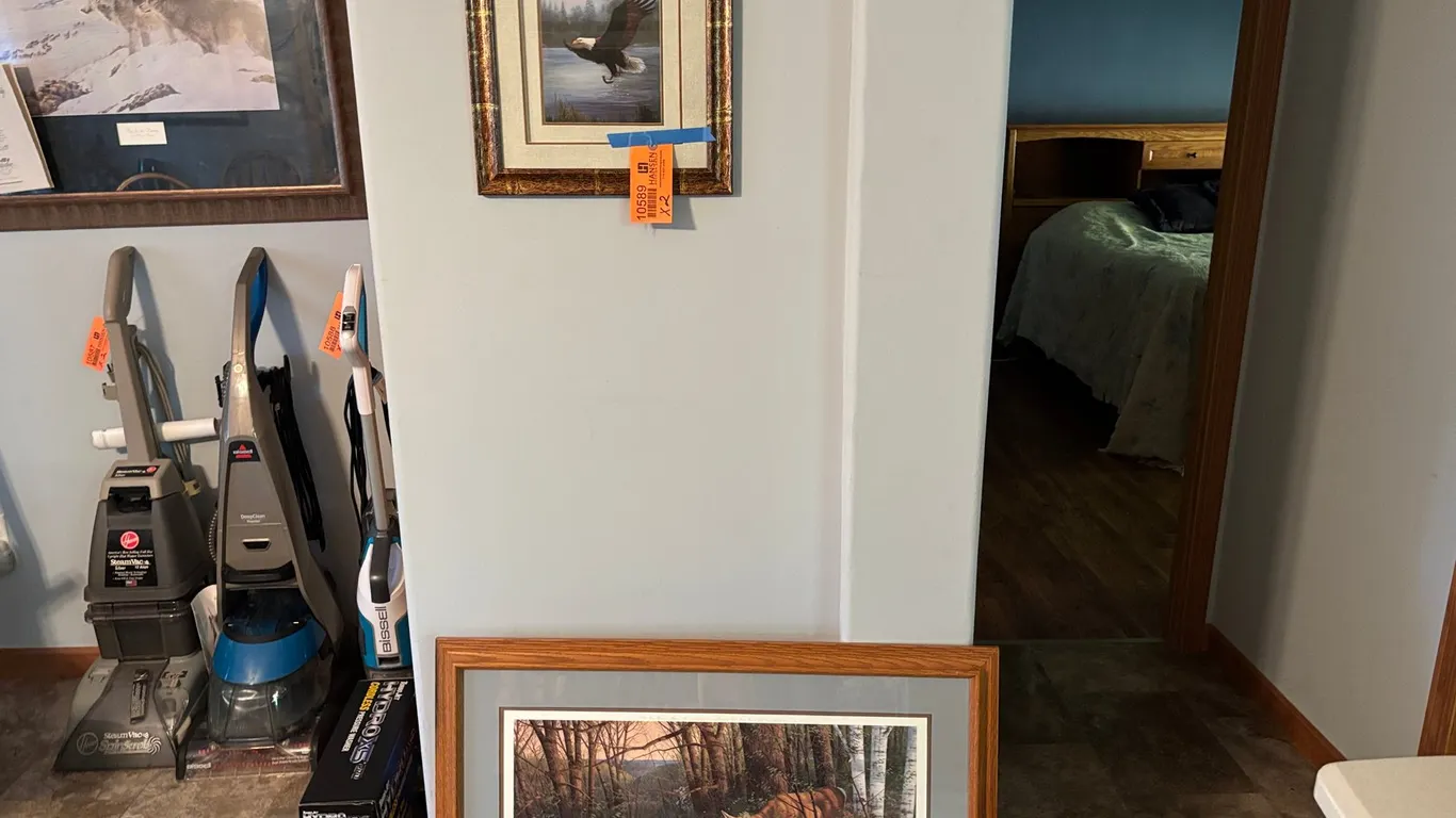 Framed Eagle Picture