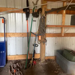 Remington Electric Pole Saw