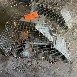 (2) Live Traps