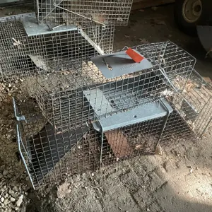 (2) Live Traps