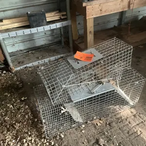 (2) Live Traps