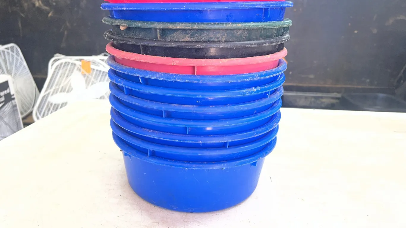 (12) Plastic Feed Dishes
