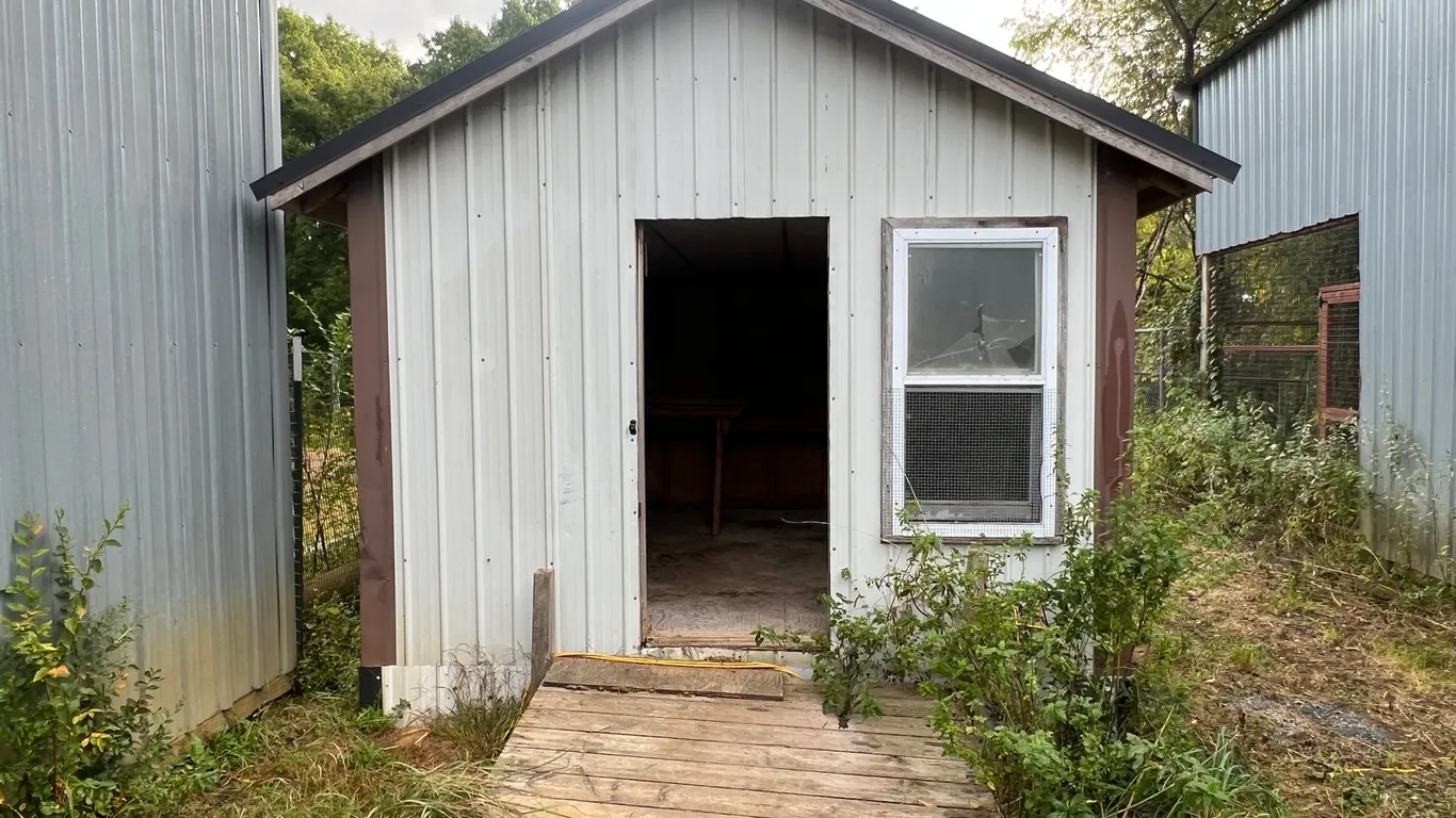 Chicken Coop