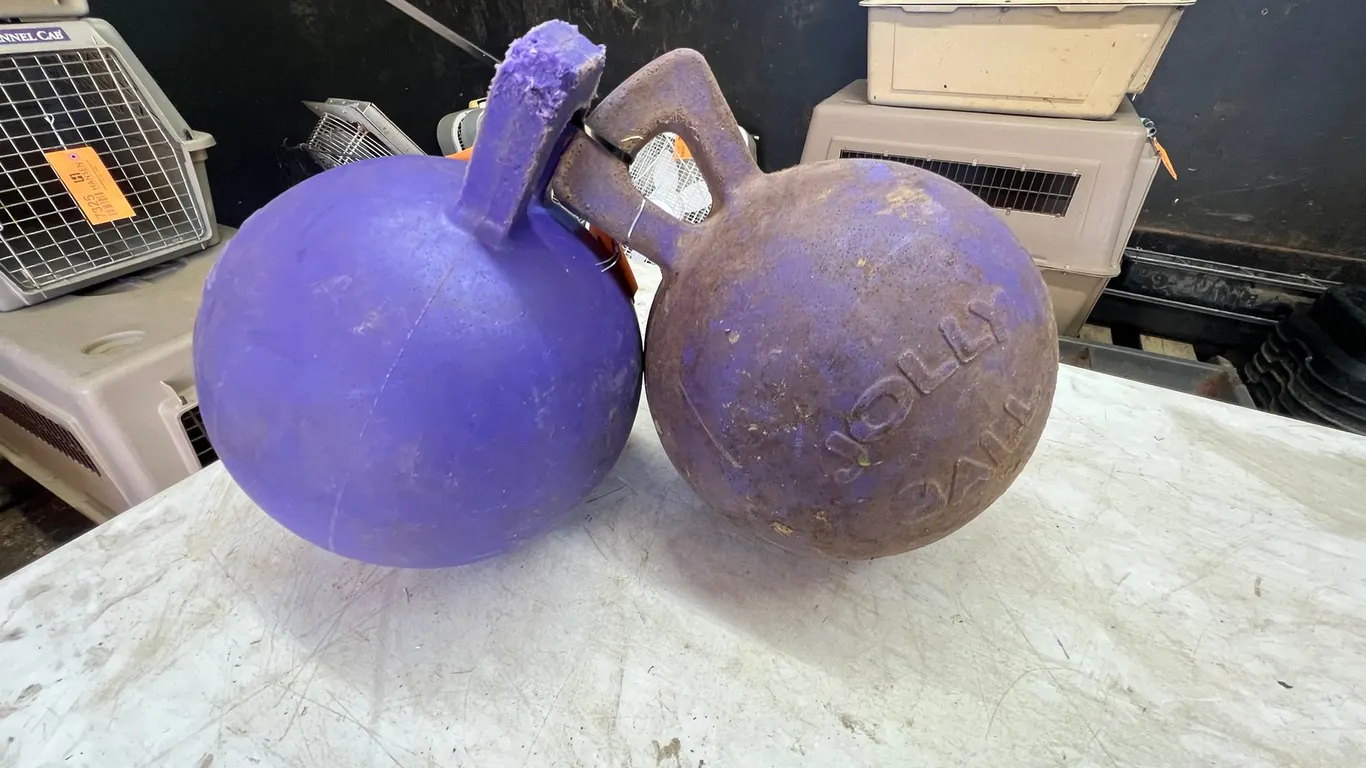 (2) Jolly Balls