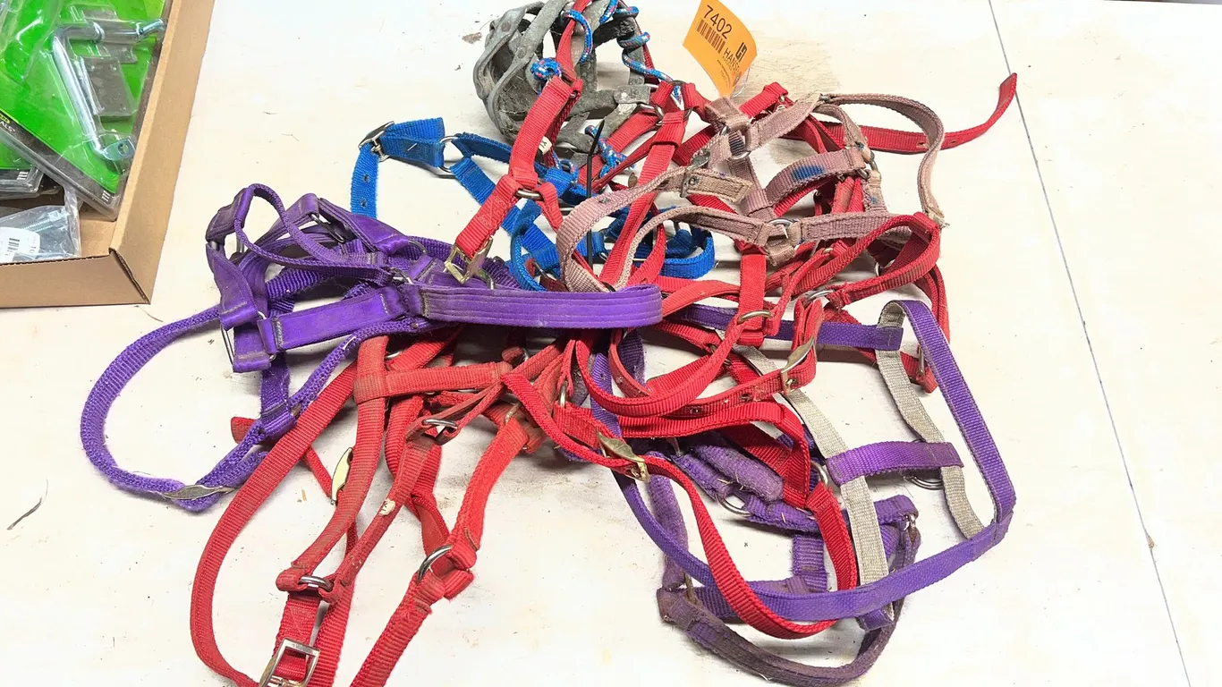 (12) Pony Halters