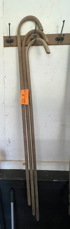 (3) Shepards Hooks