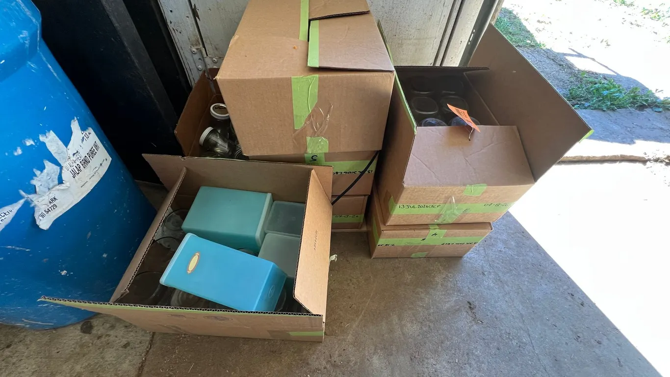 (7) Boxes of Ball and Kerr Canning Jars