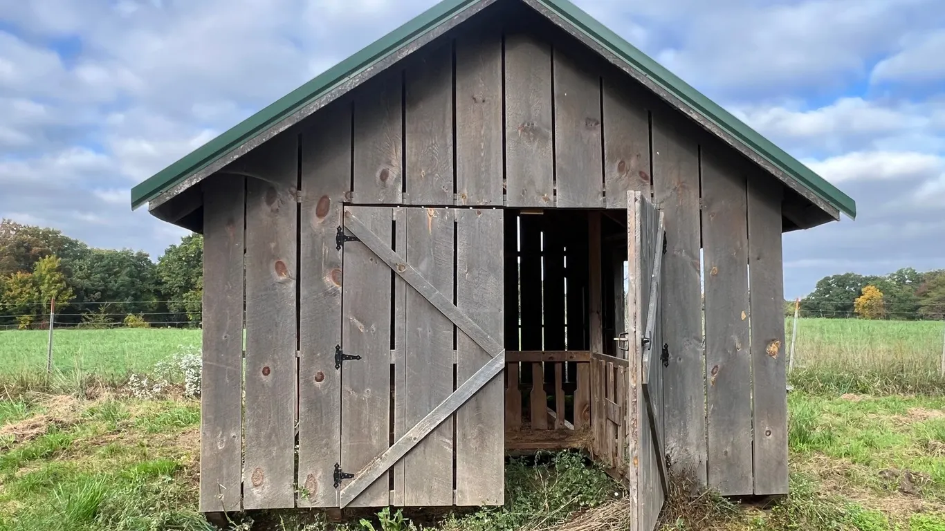 Shed on Skids