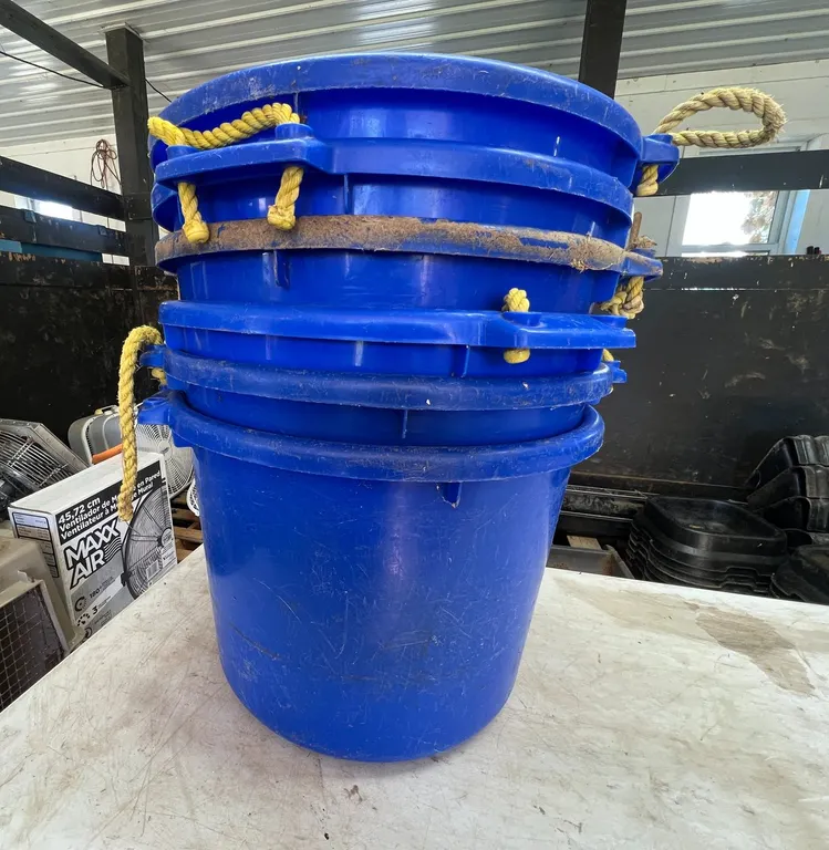 (6) Plastic 16 Gallon Tubs