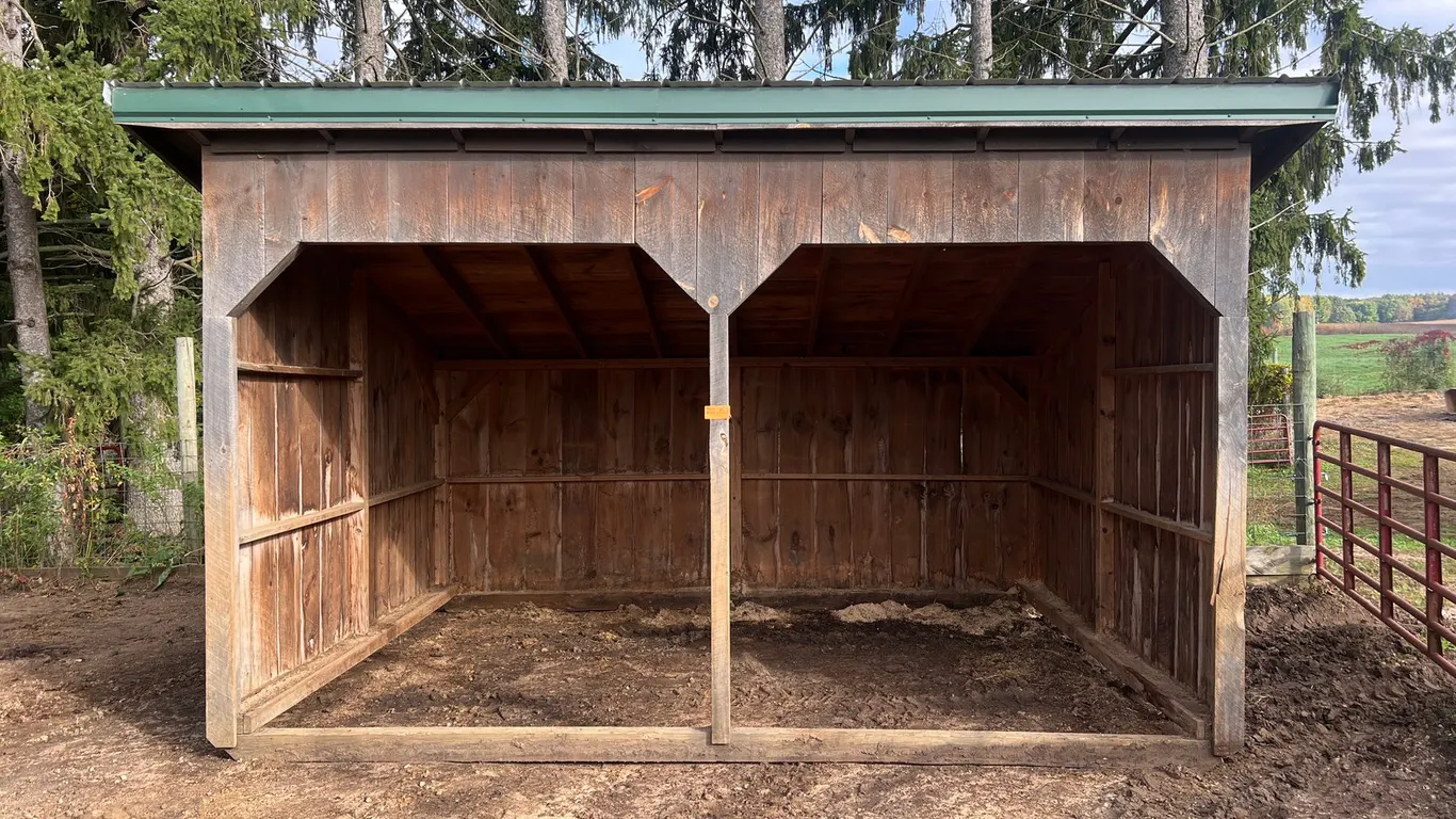 Shed on Skids