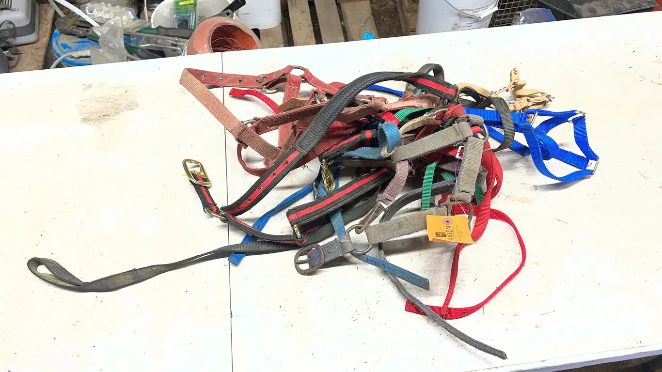 (12) Assorted Sized Halters