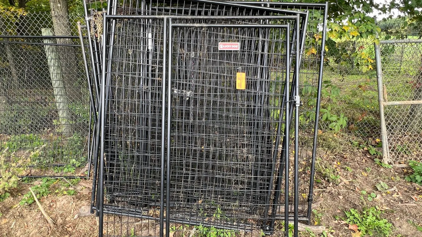 Lucky Dog Kennel