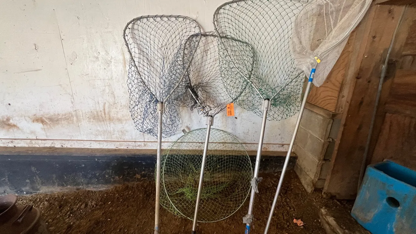 (5) Fishing Nets