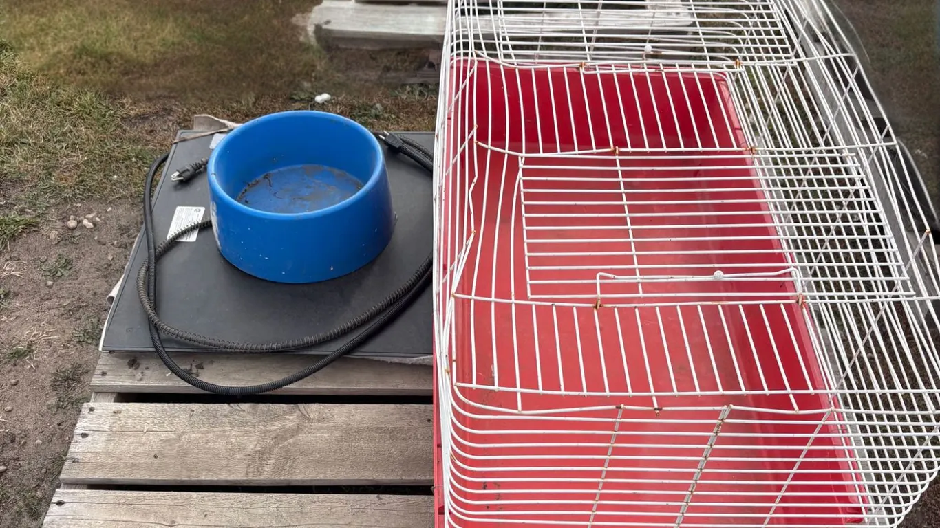 Pet cage, electric pet water bowl, electric pet mat
