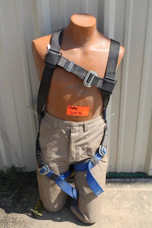 Training Mannequin