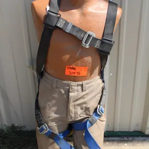 Training Mannequin