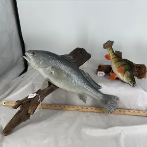 Fish Mounts Yellow Perch & Silver Sea Trout