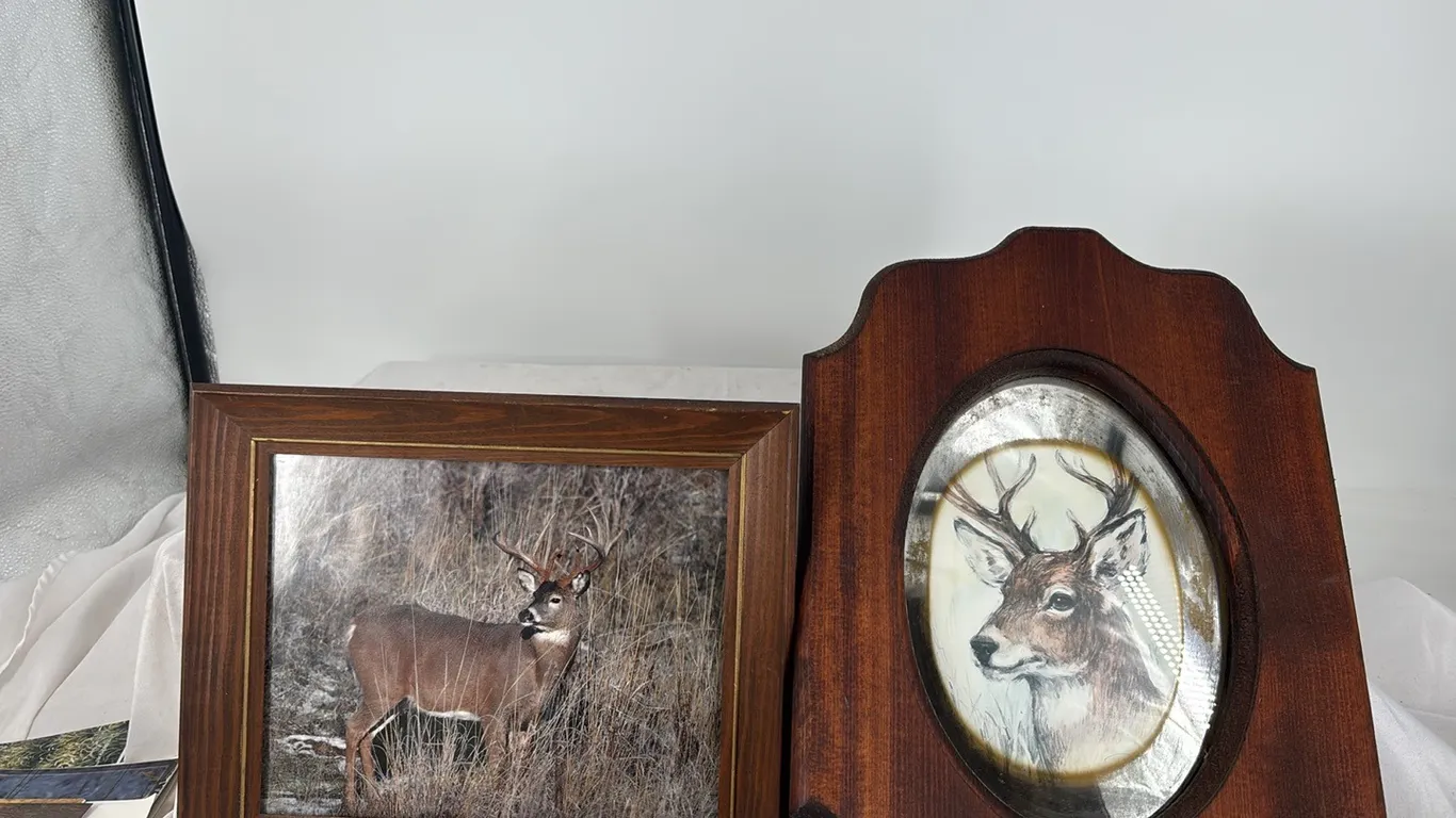 Deer Pictures & Wildlife Calendars