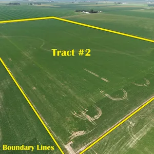 Tract 2: 80.58+/- gross acres