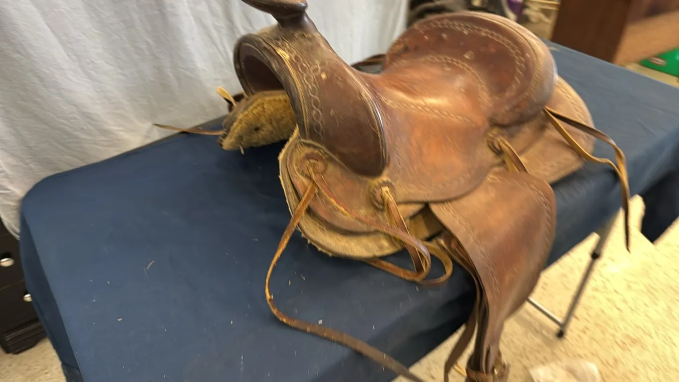 Saddle