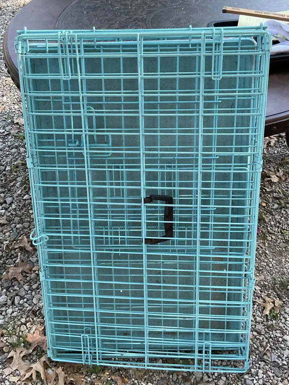 Metal Wire Dog Crate With Plastic Tray, Turquoise