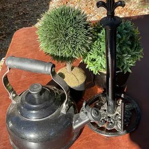 Kitchen and Decorative Items Including Kettle, Paper Towel Holder, and Faux Plants