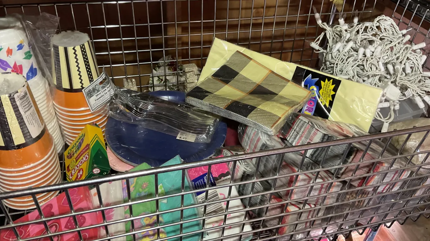 Party Supplies, Napkins, Crayons, Plates, and String Lights