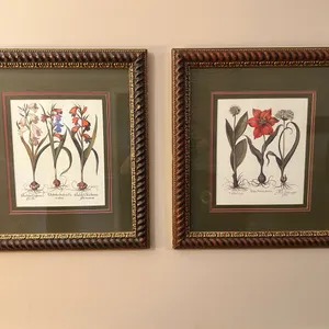 Prints