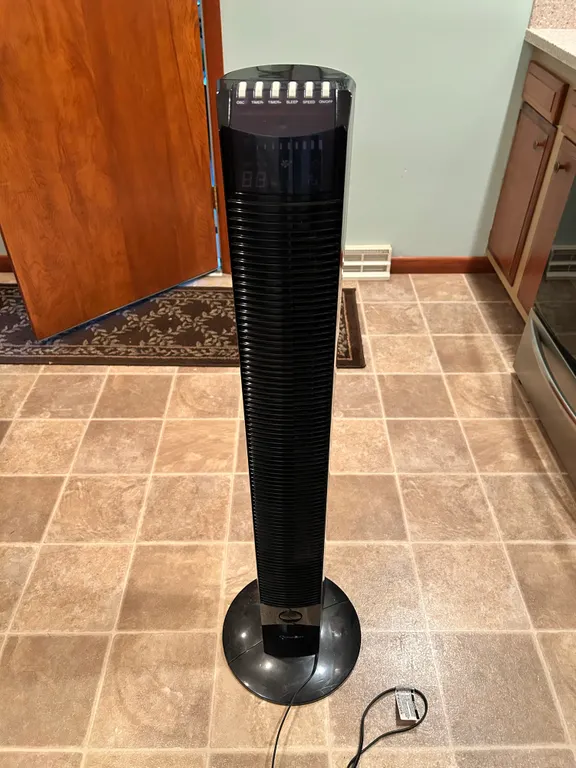 Fan