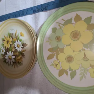 15 plastic flower plates