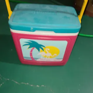 Igloo24 cooler