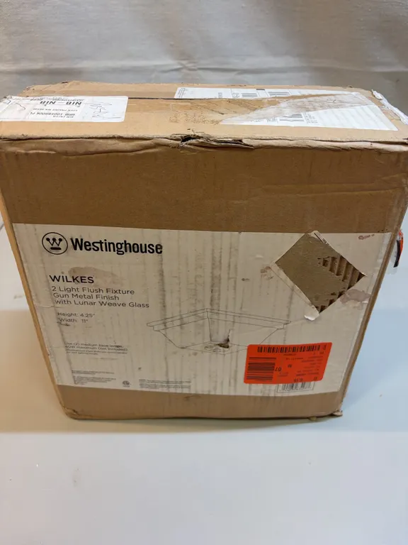 Westinghouse Wilkes Light Fixture