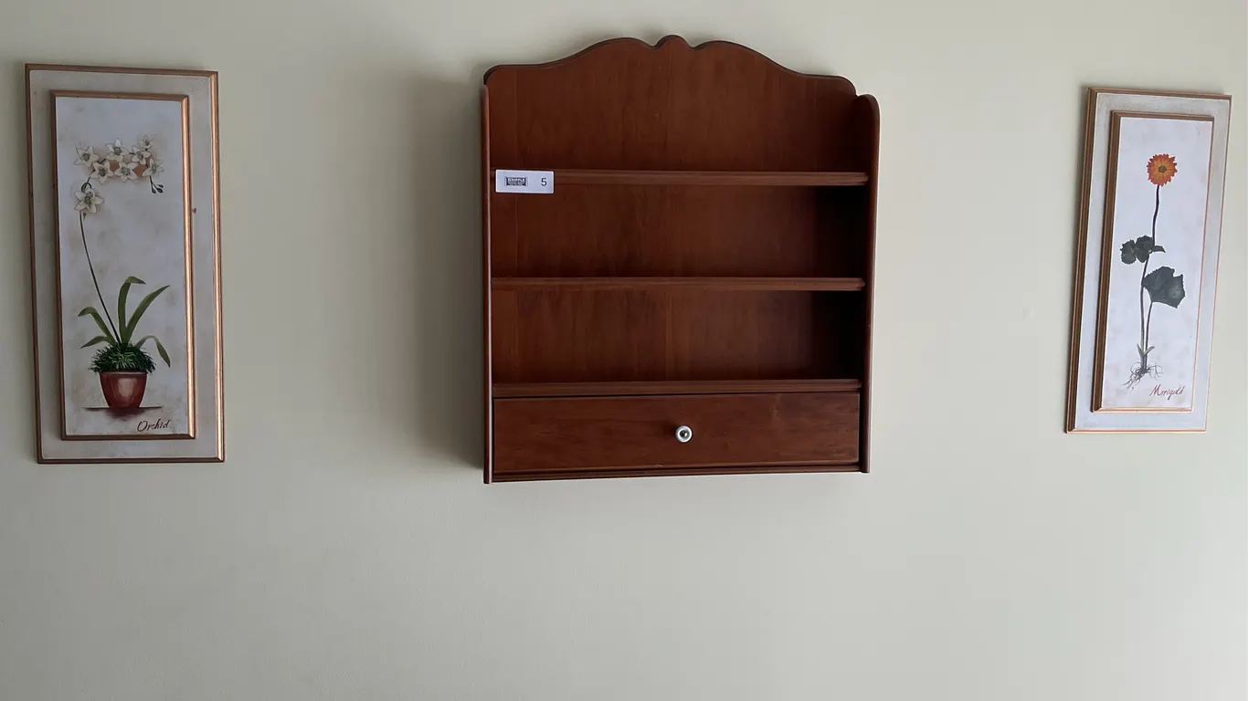 Wall shelf unit, 2 pictures, macrame plant hanger