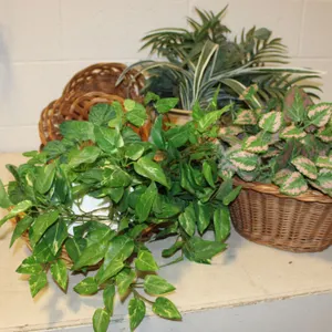 Artificial Plants & Baskets