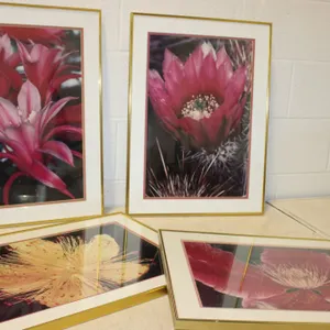 Floral Photographic Prints