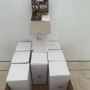Nine boxes of assorted sens￼