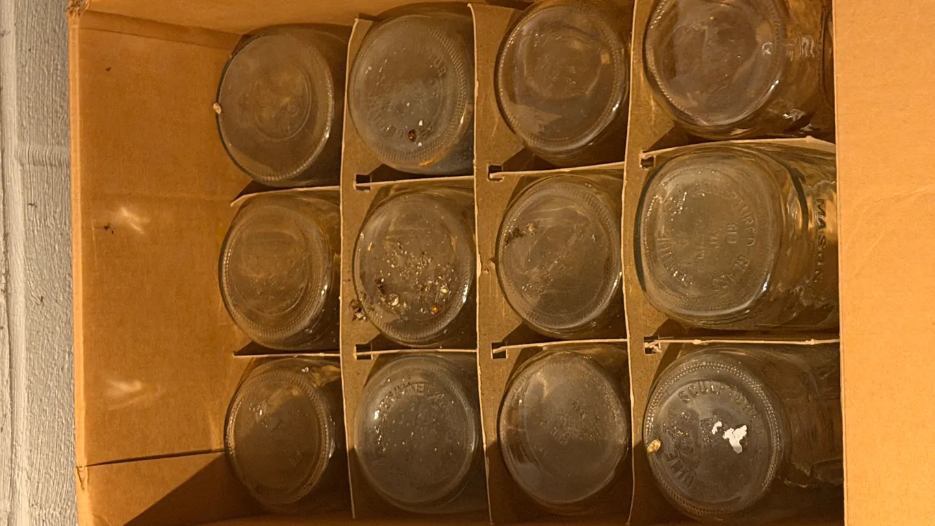 DOZEN QUART BALL MASON JARS