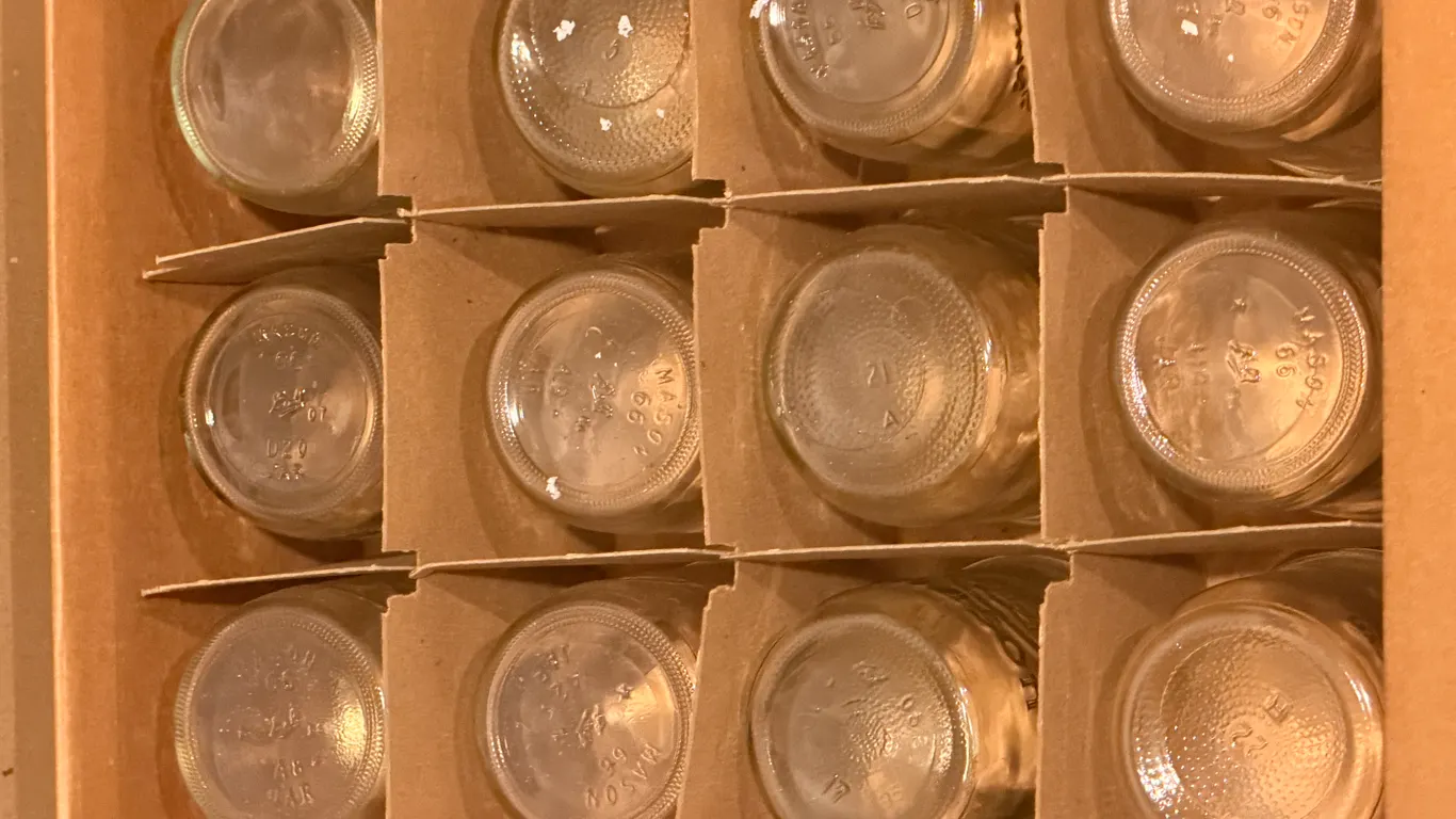DOZEN PINT WIDE MOUTH MASON JARS