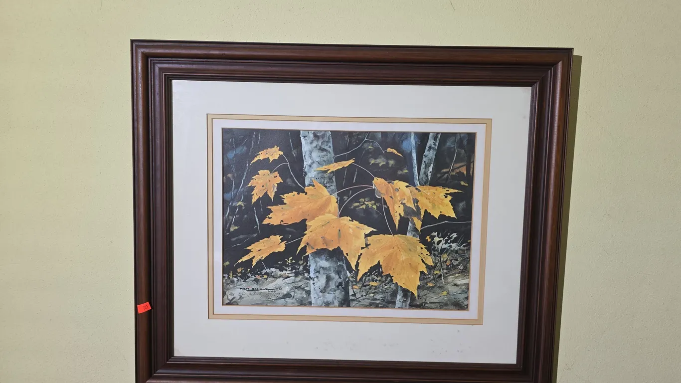 Framed Ken Schulz Print 179/500