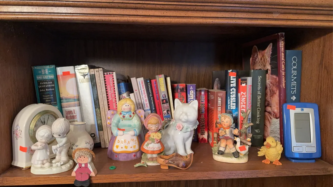 Contents of Shelf Books Figurines