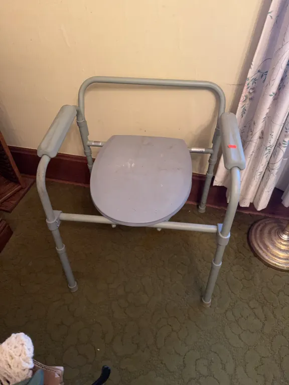 Handicap Toilet Seat