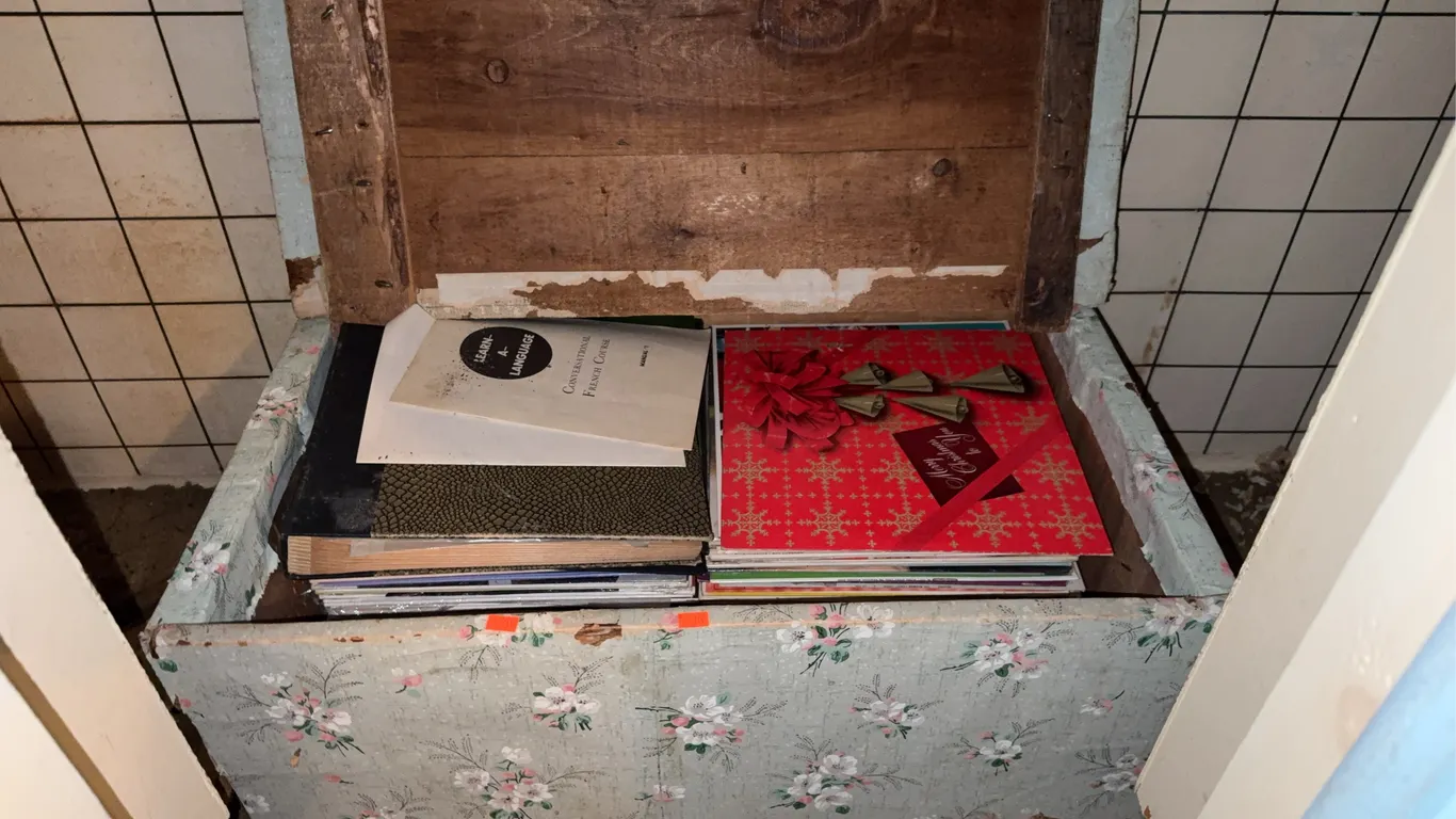 Chest with Contents Vinyl Records