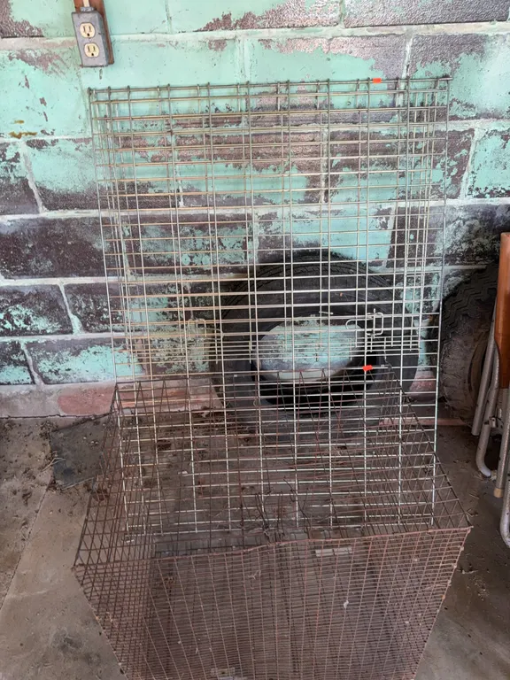 Wire Racks And cage
