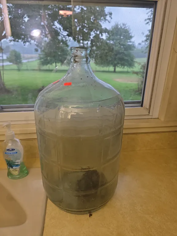 Glass jug