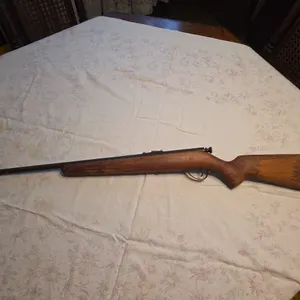 Springfield Savage .22 cal rough