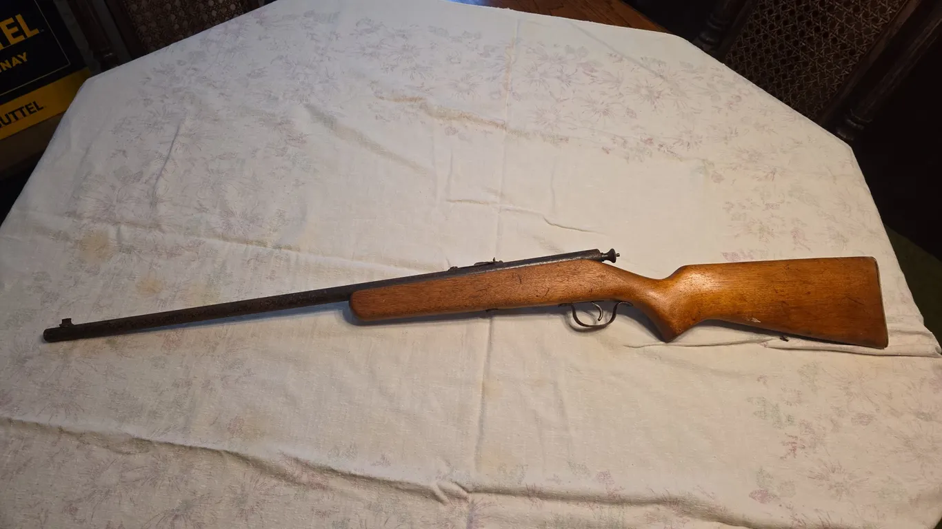 Springfield .22 cal