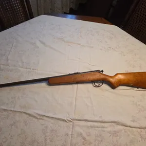 Springfield .22 cal
