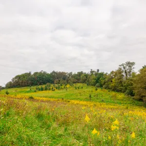 Parcel 2: 24.3 Acres