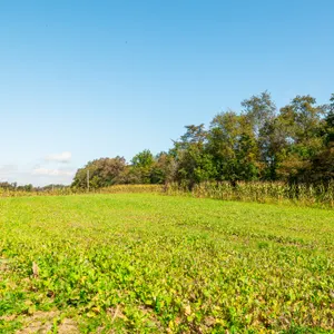 Parcel 3: 62.1 Acres